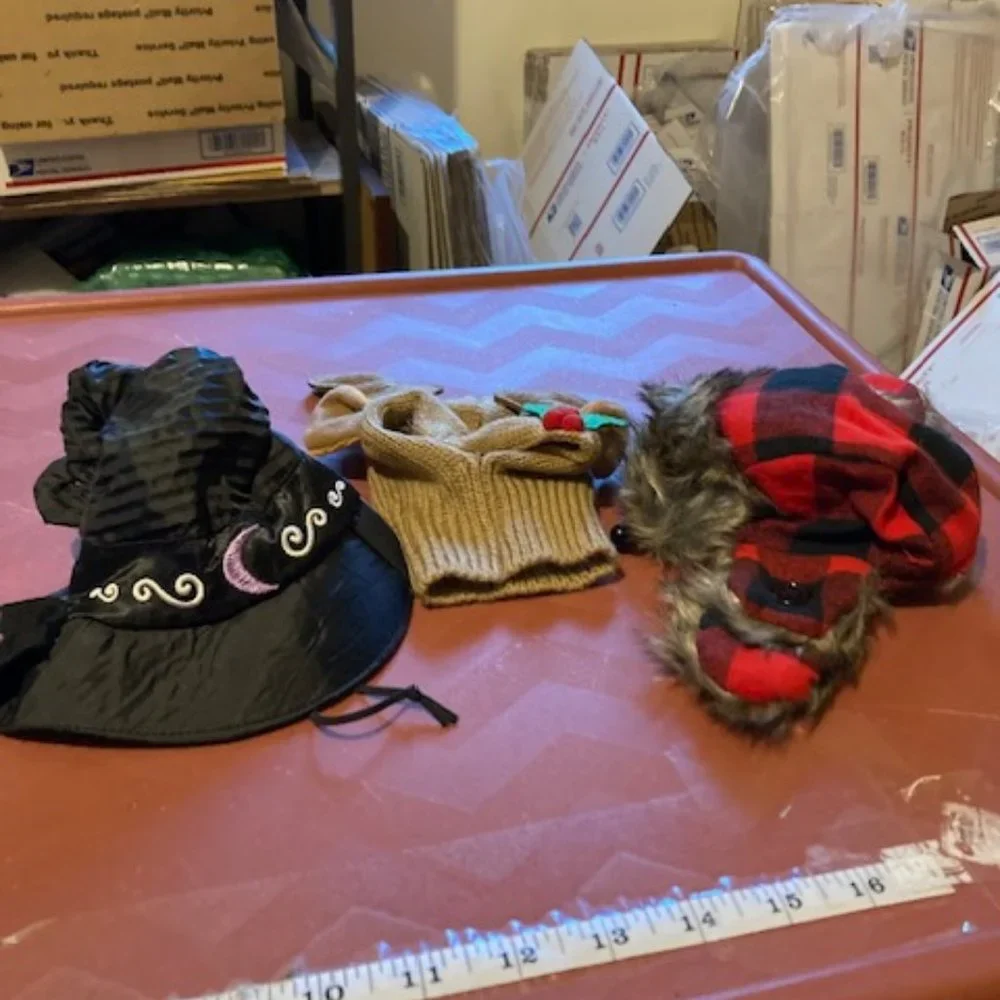 Cat hats